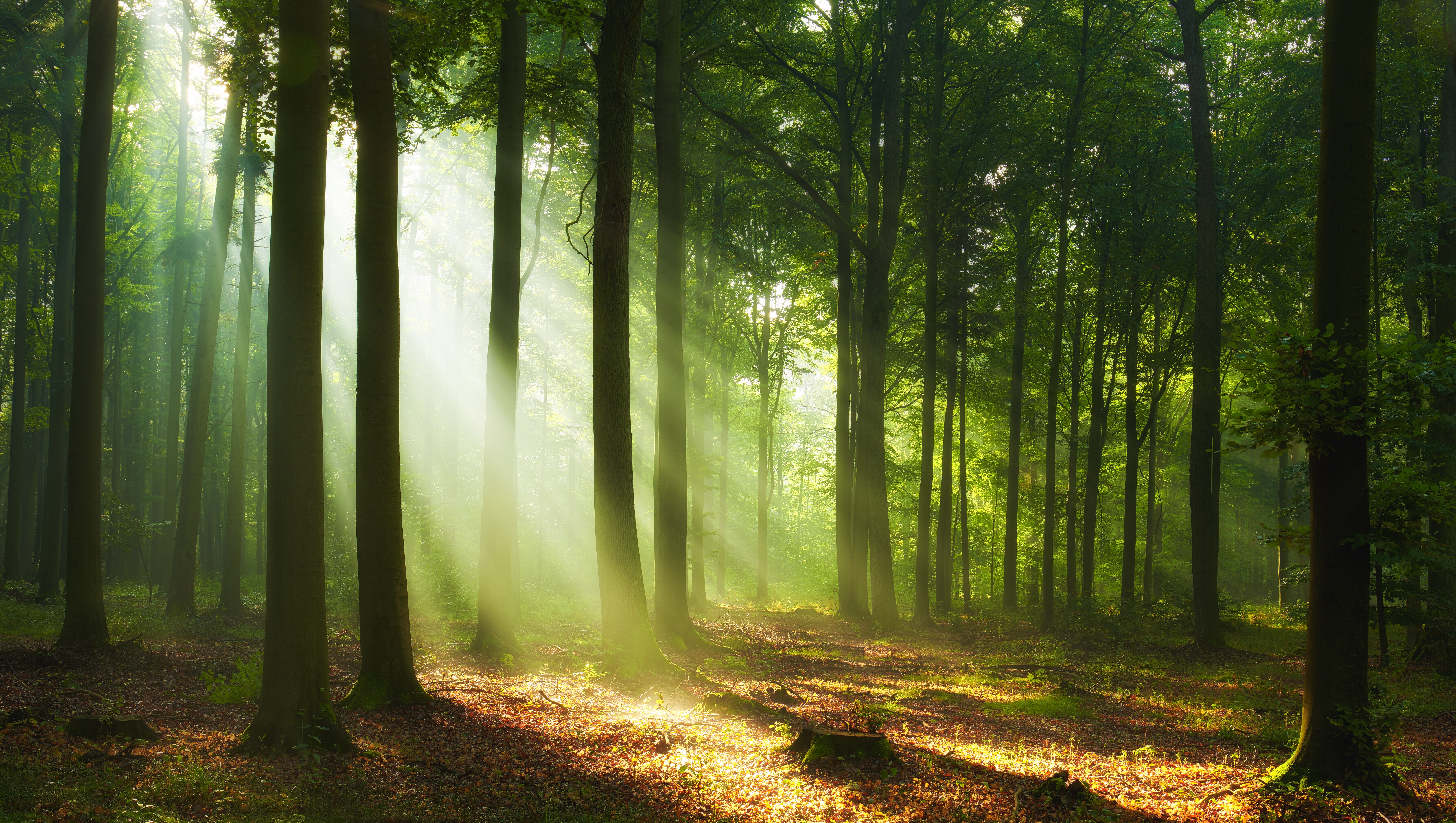 tutela della biodiversità